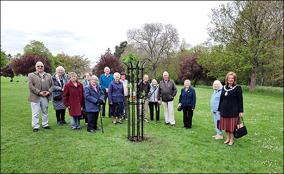 planting the tree