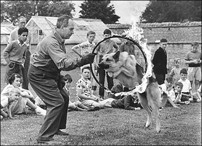 Harry Steele and dog