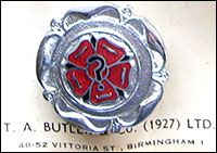 lapel badge