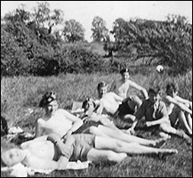 sunning themselves