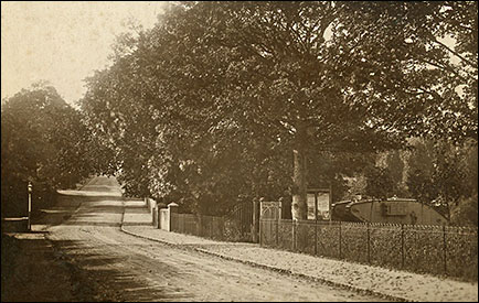 gates into the park