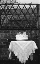 The birthday cake.
