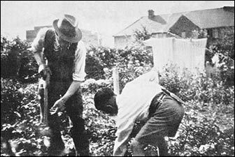 digging the garden
