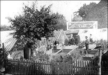 greenhouses