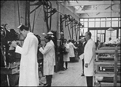 Welting, Rounding & Stitching Department