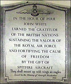 the plaque