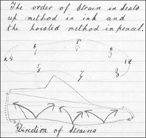 Drawing showing the order in which lasting strains are taken