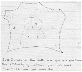Drawing showing different quality leather obtained from different areas of a hide