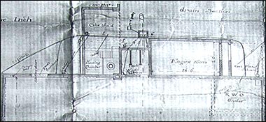 back section