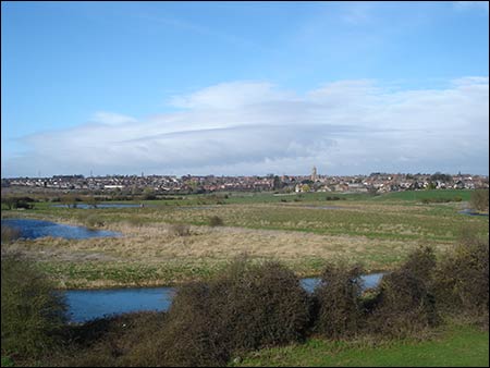 Meadows towards the north