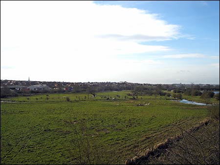 Meadows towards the south