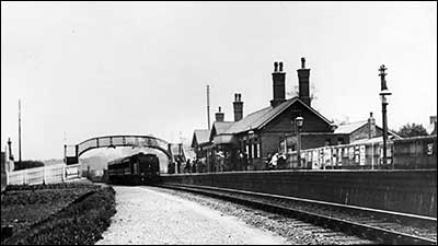 Steam Train