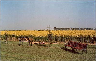 the memorial site