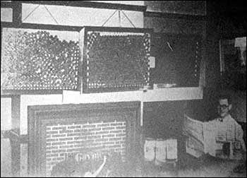 Pennies being collected at the Feathers